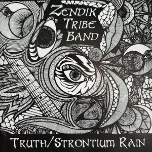 Zendik Tribe Band Truth Strontium Rain CD 1996